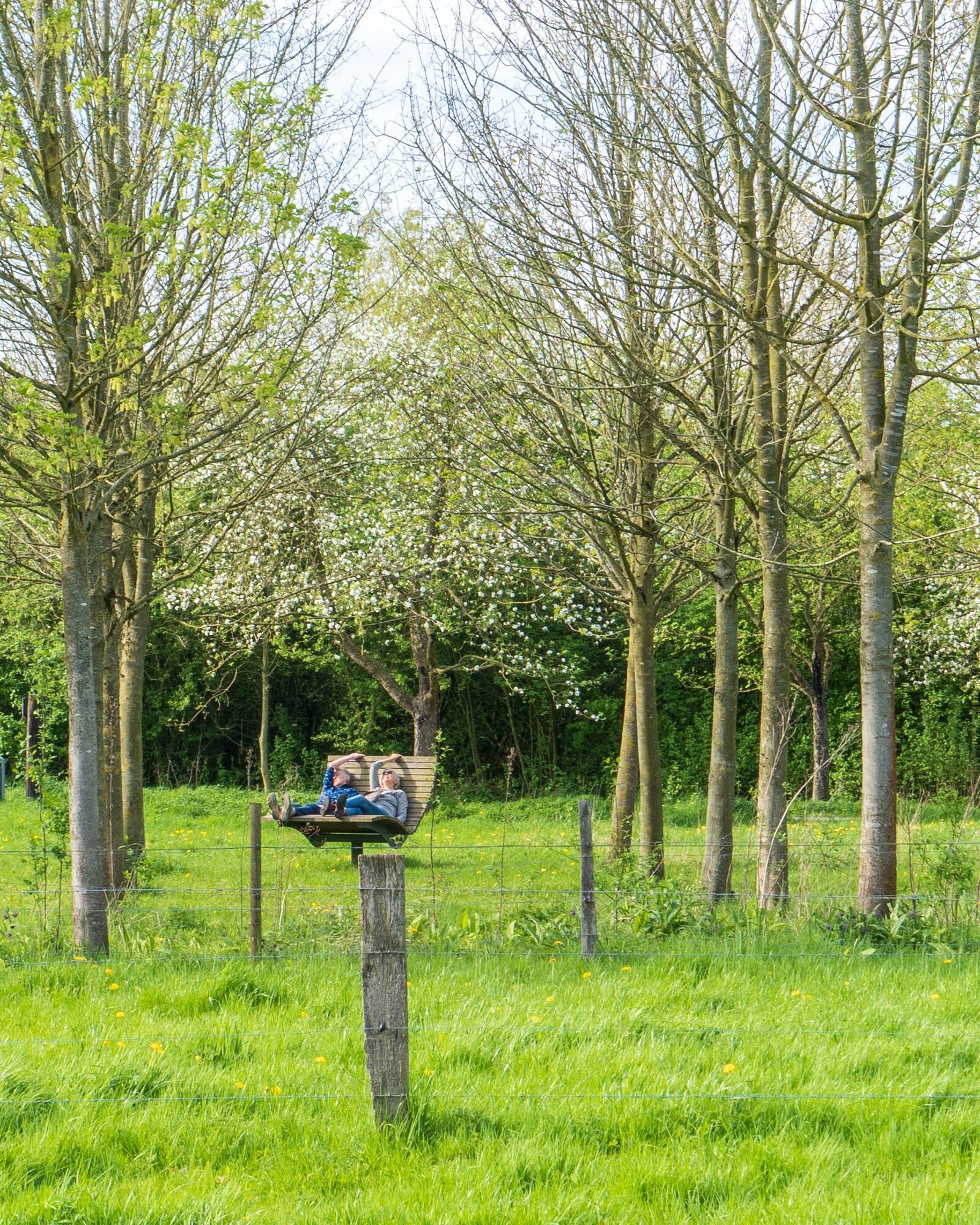 Zwei Frauen chillen im Bürgerwald